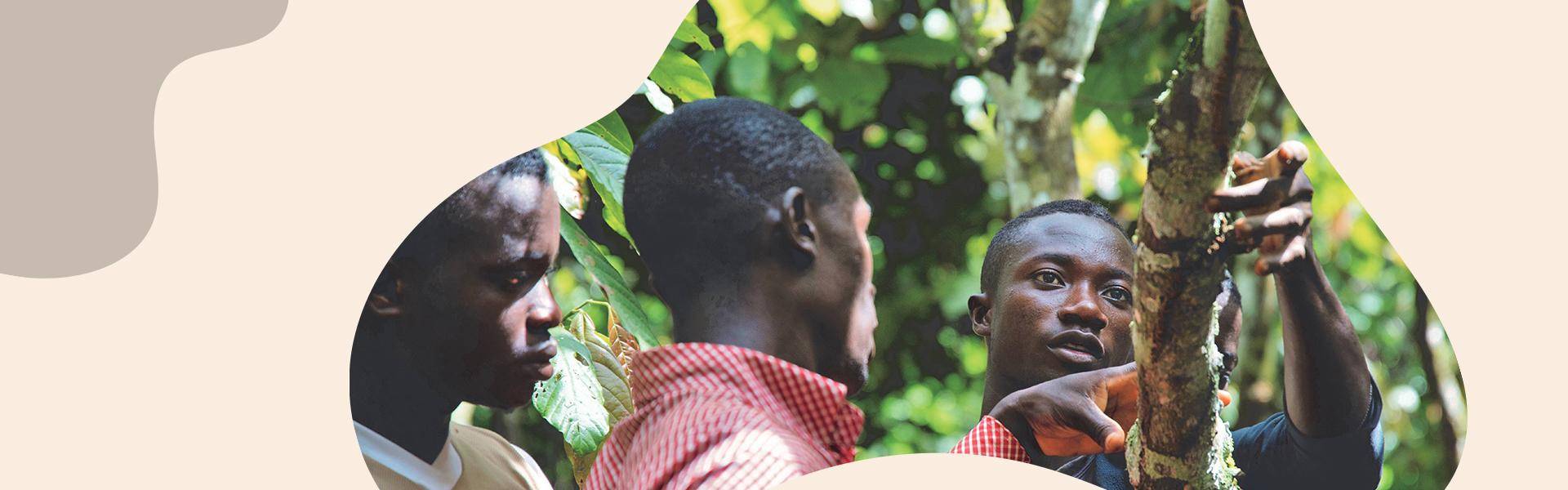 Our Sustainability Mission
