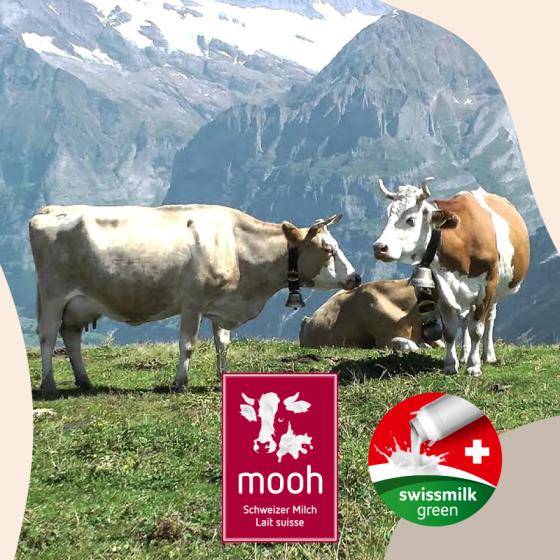 New Sustainability Certification